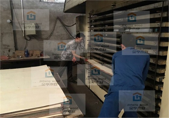 金亨木業有限公司建筑模板