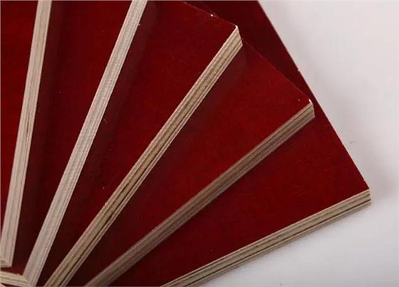 微信截圖_20230228140455