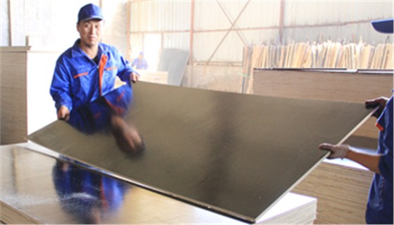 金亨木業有限公司 建筑模板