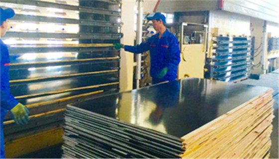 金亨木業有限公司 建筑模板