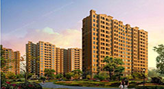 金亨木業建筑模板--中信地產中信新城X1-3項目