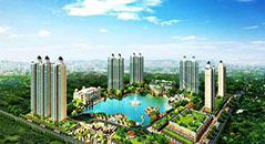 金亨木業建筑模板--恒大綠洲九期B地塊工程