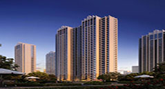 金亨木業建筑模板-鄭州東潤璽城項目