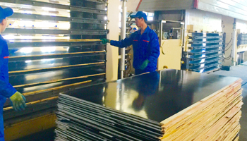 金亨木業有限公司 建筑模板